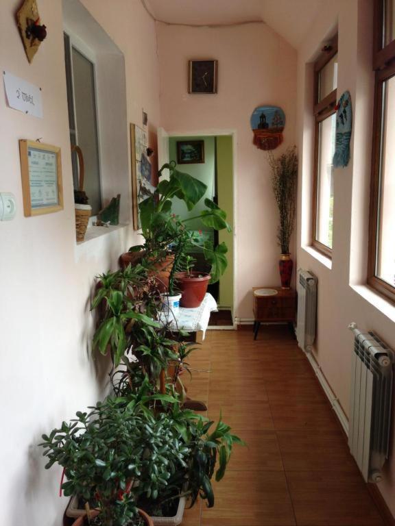 Iris B&B In Debed Canyon Алаверди Екстериор снимка