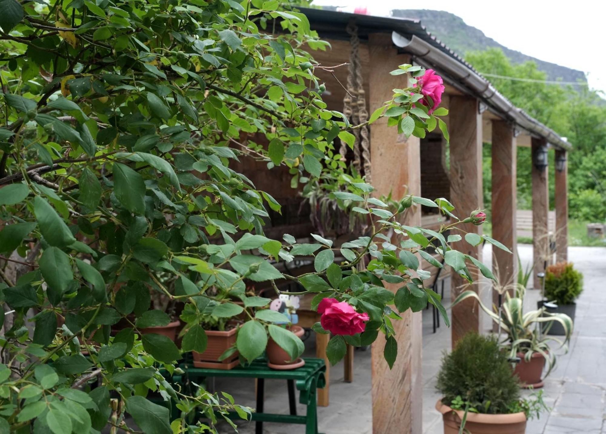 Iris B&B In Debed Canyon Алаверди Екстериор снимка