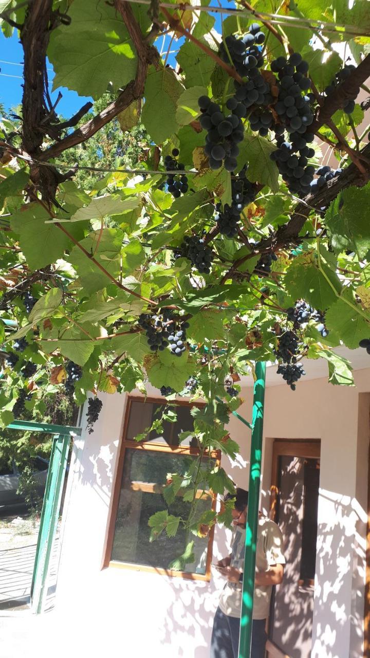 Iris B&B In Debed Canyon Алаверди Екстериор снимка